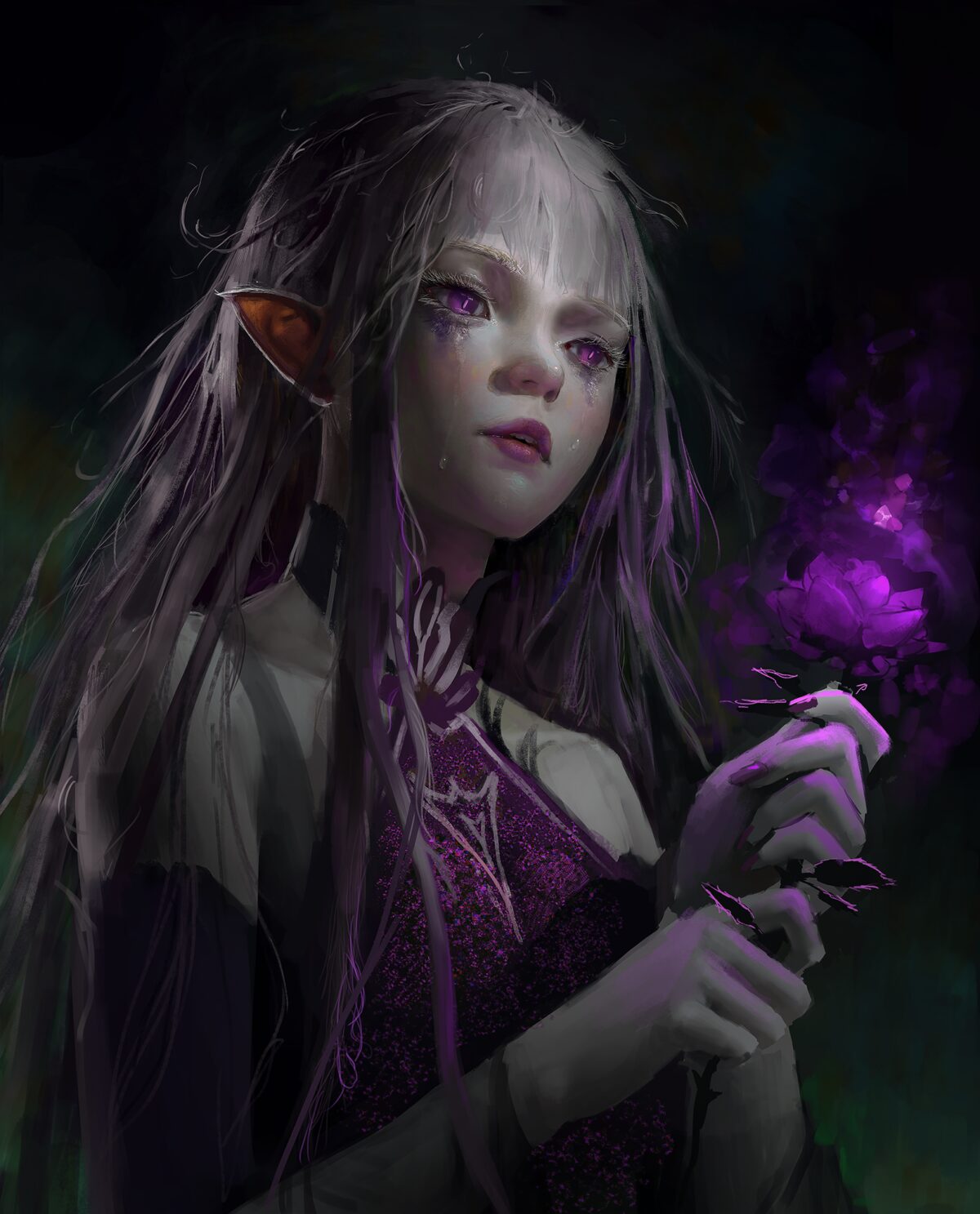 紫瞳精灵