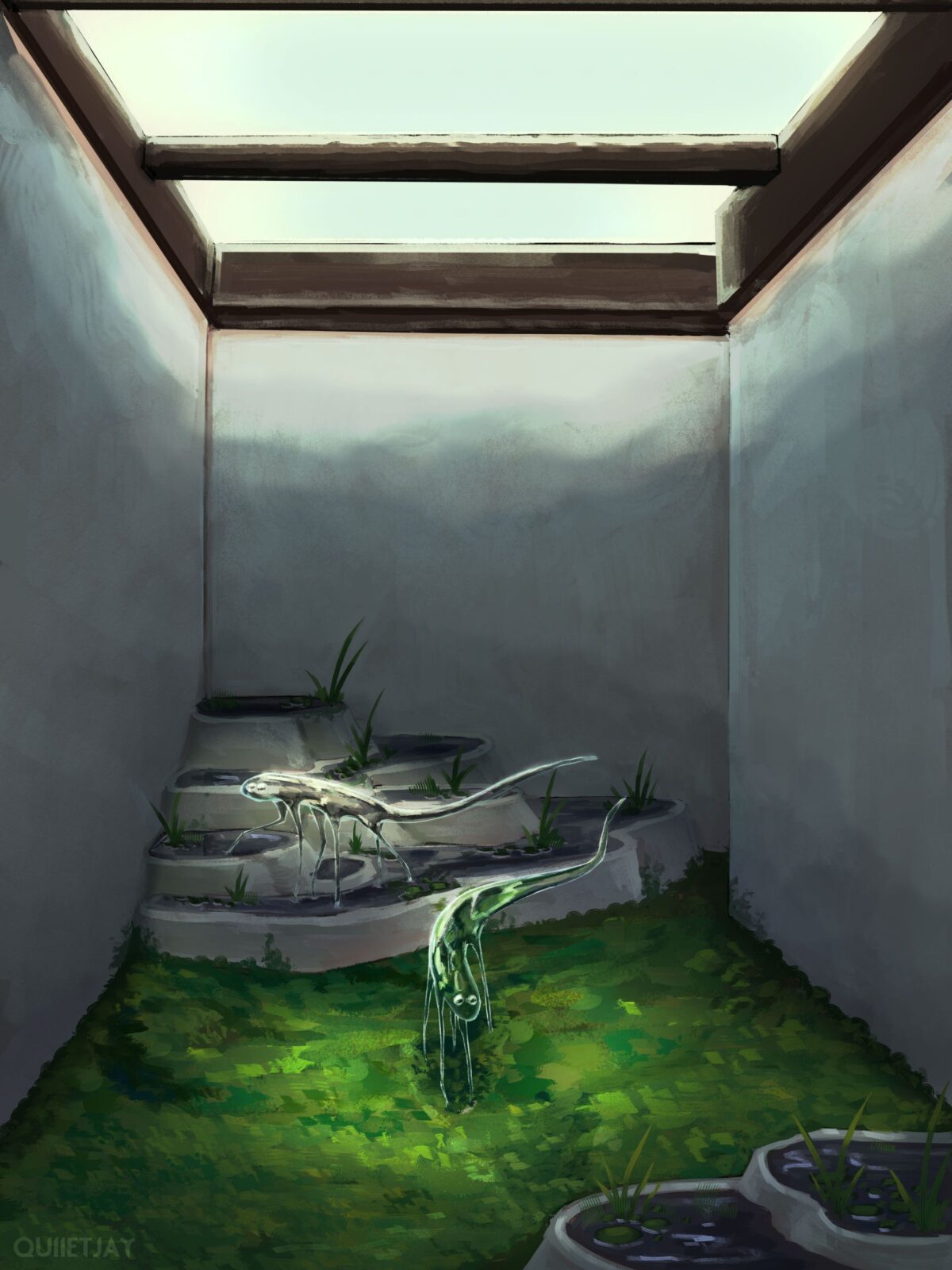 神秘生物与自然