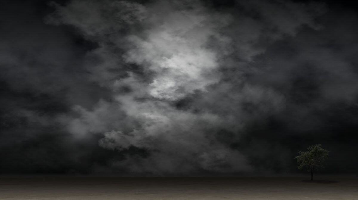 暗夜孤树
