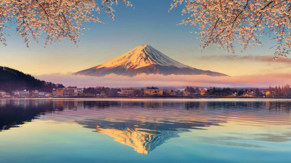 富士山樱花湖畔风景壁纸