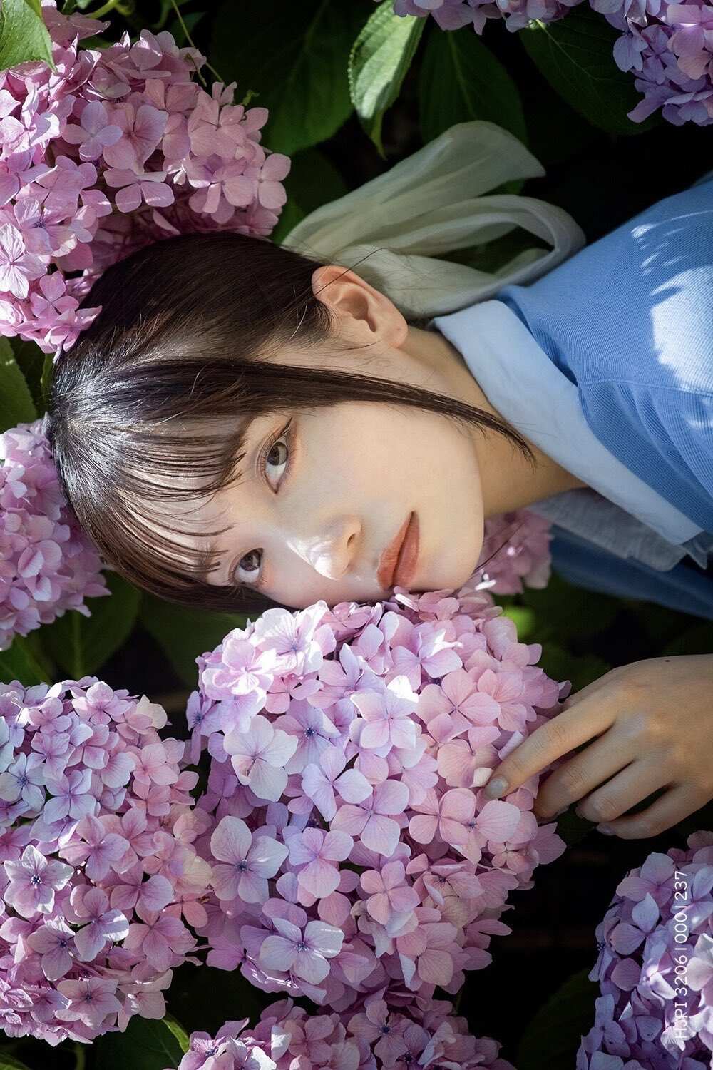 紫丁香下的宁静