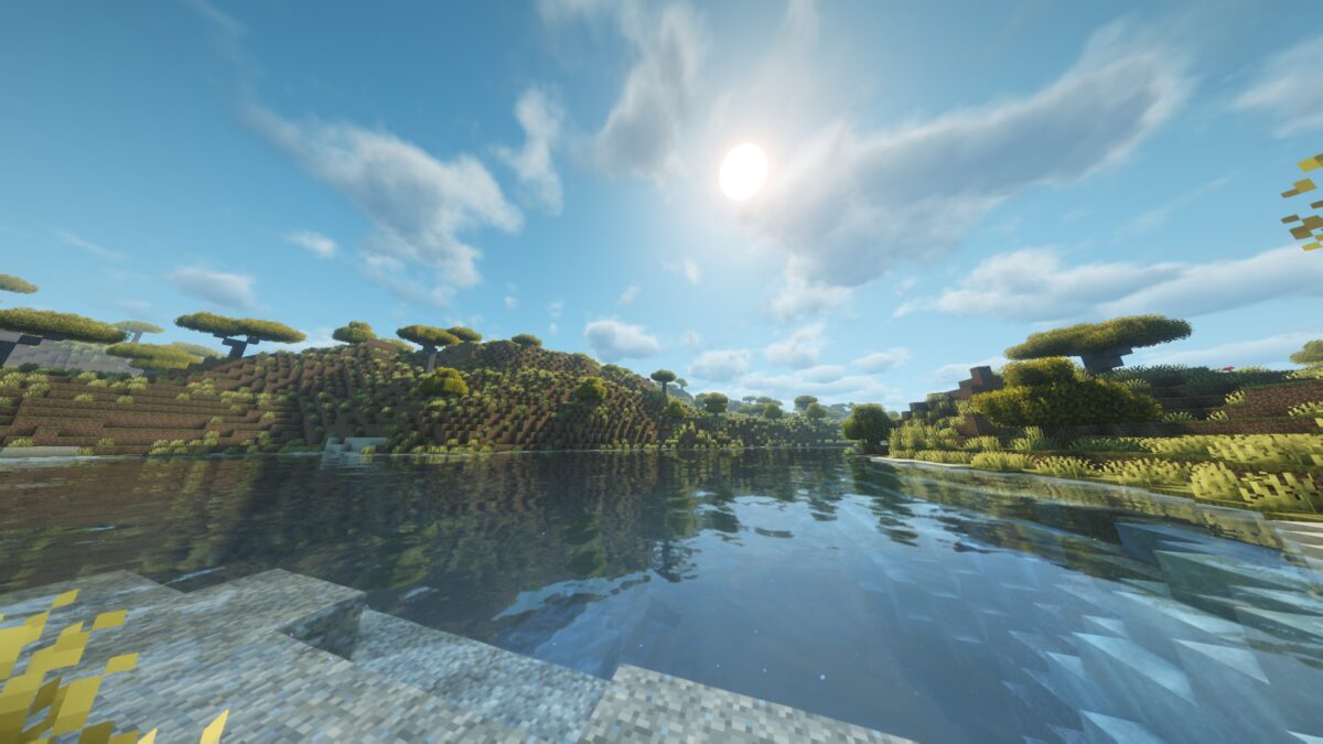 阳光下的宁静湖景