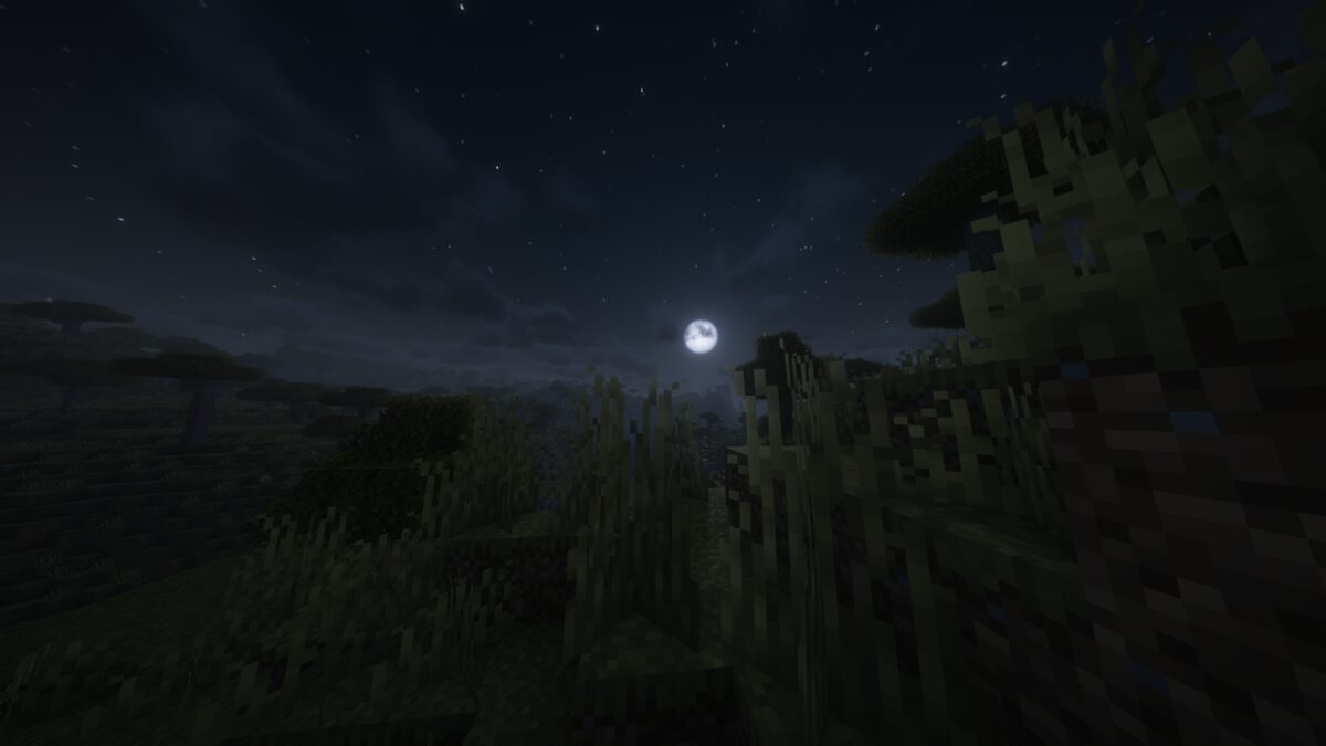 星空下的像素世界
