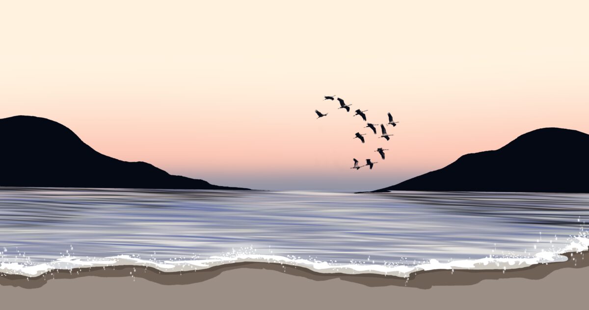 宁静的海滩与飞鸟