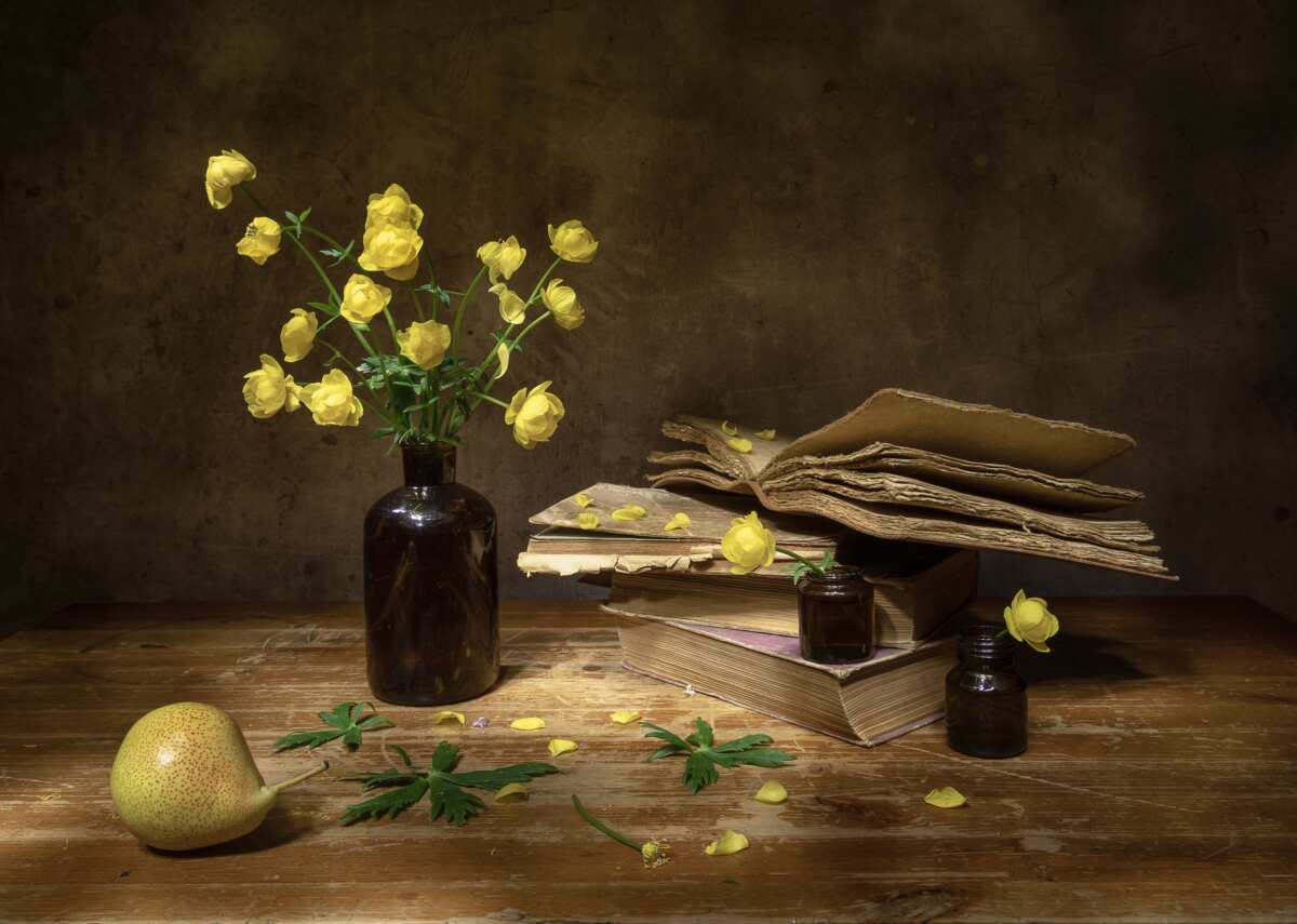 黄色花朵与旧书