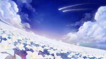 Genshin Impact 动态壁纸：花海星空