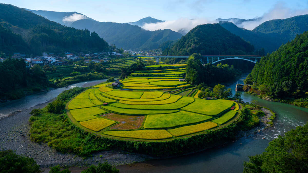 清新壁纸之景 – 高清风景壁纸
