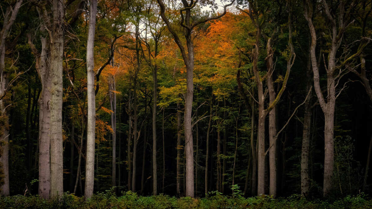 3840x2160分辨率震撼视觉风景壁纸，自然风光画卷，电脑桌面背景视觉盛宴