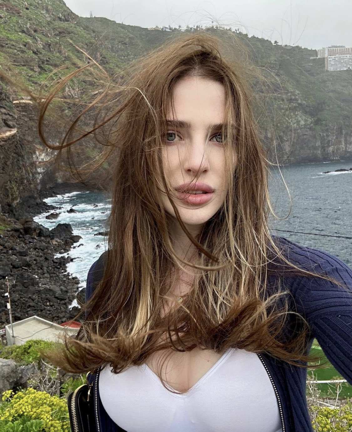 Brunette·Riley Reislin高清壁纸