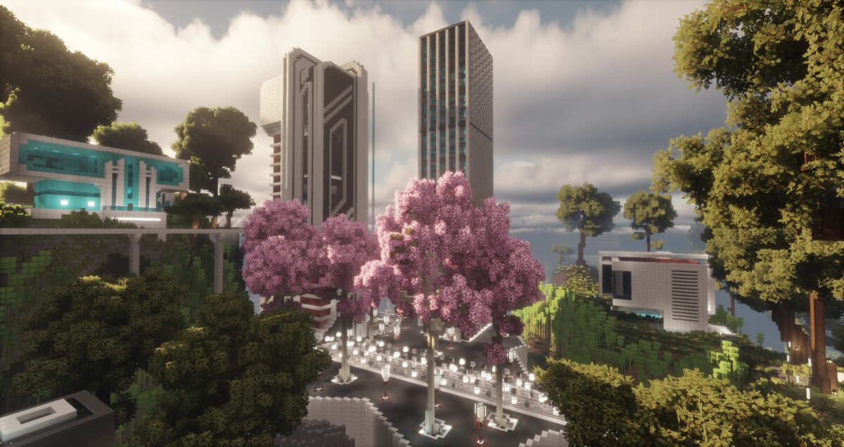 樱花之城