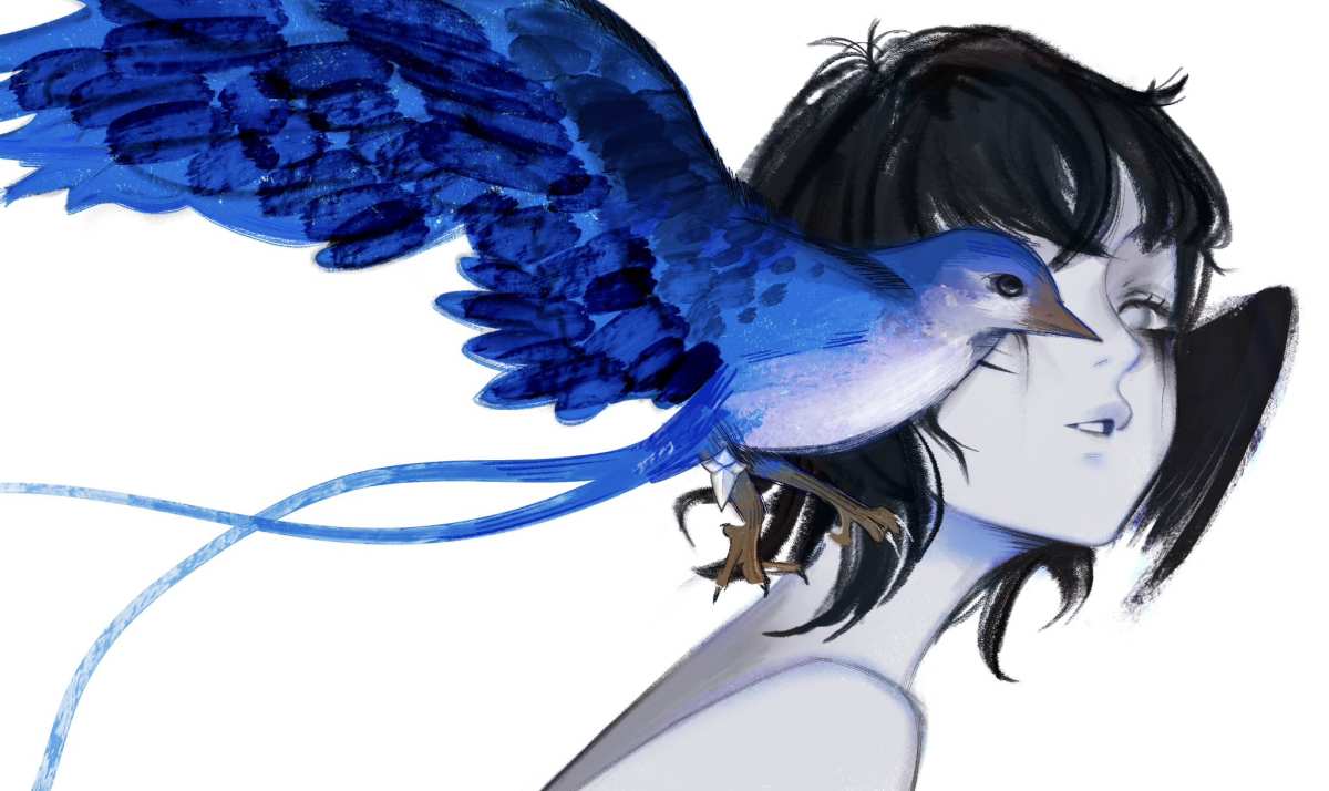 蓝色小鸟与黑发女孩