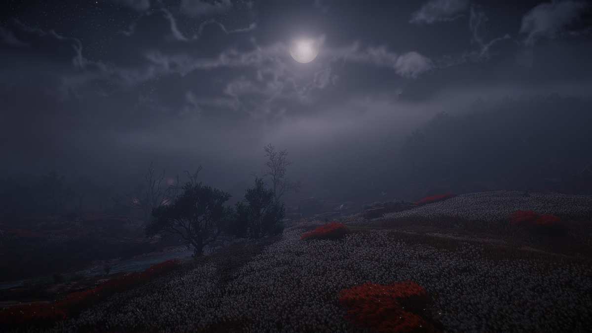 夜幕下的神秘花园