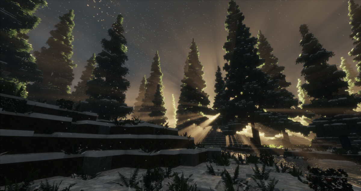 雪夜松林