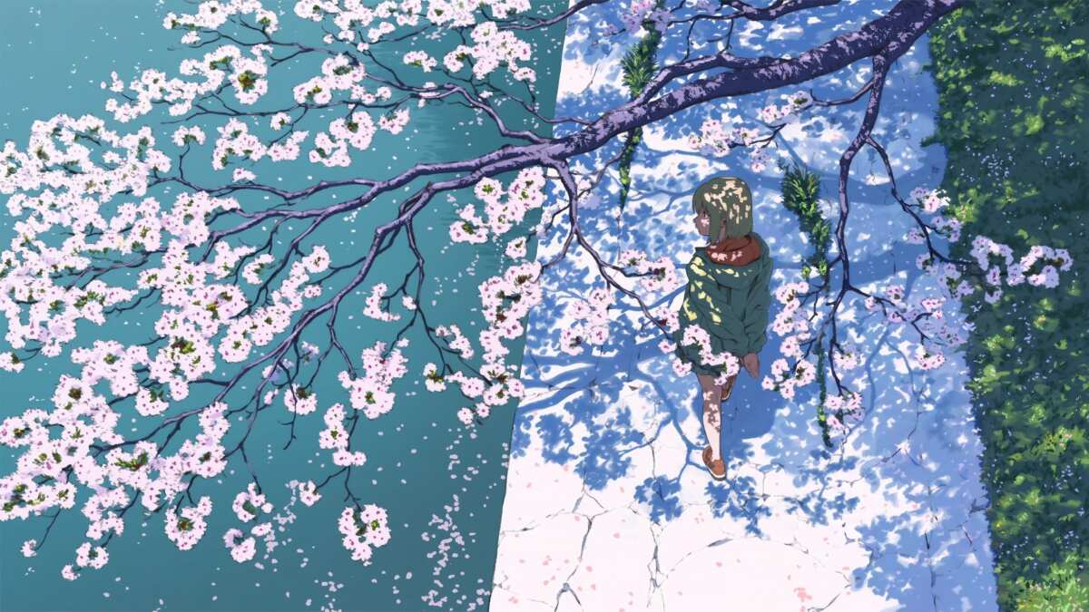 樱花下的宁静时光