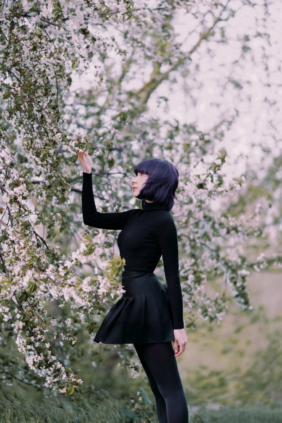 紫发女子与花树