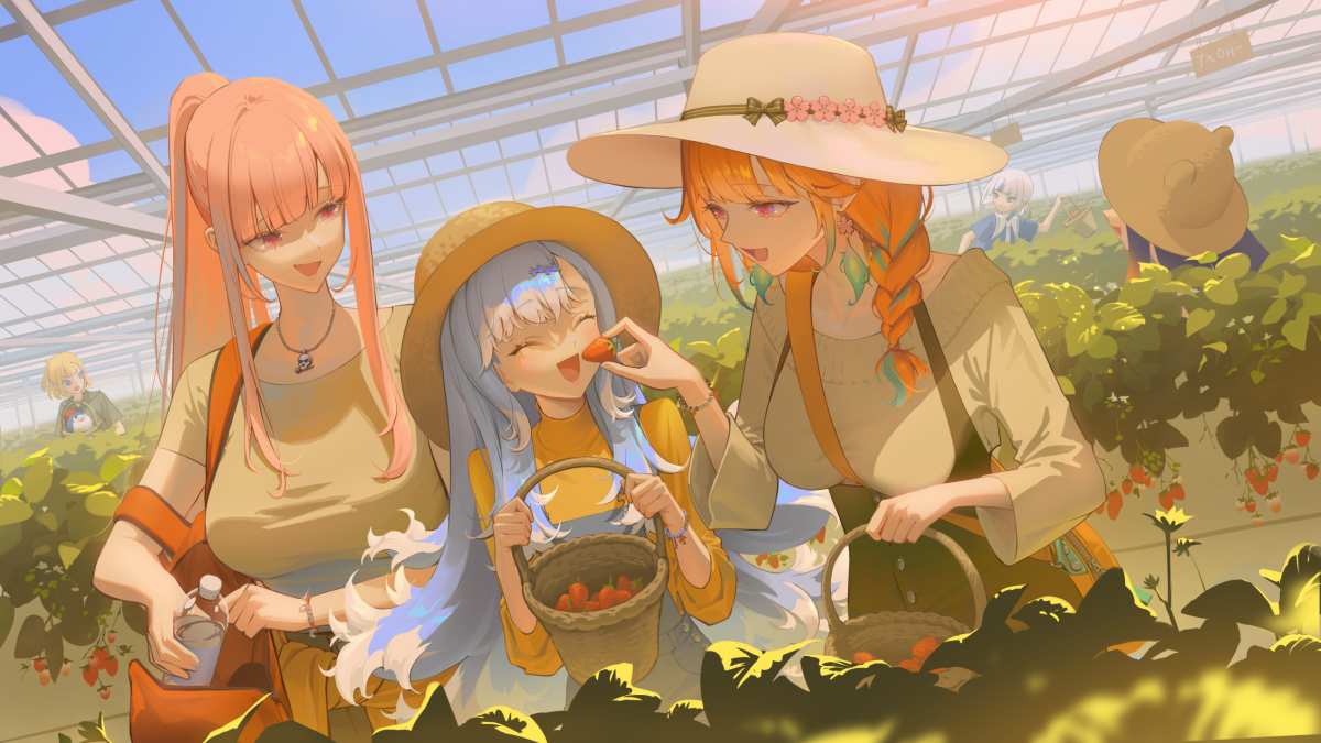 温室里的草莓采摘
