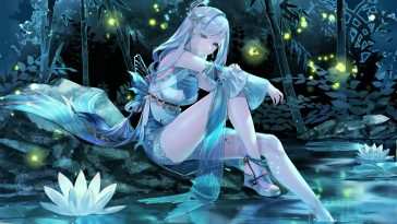 神鹤莲花湖夜景动态壁纸