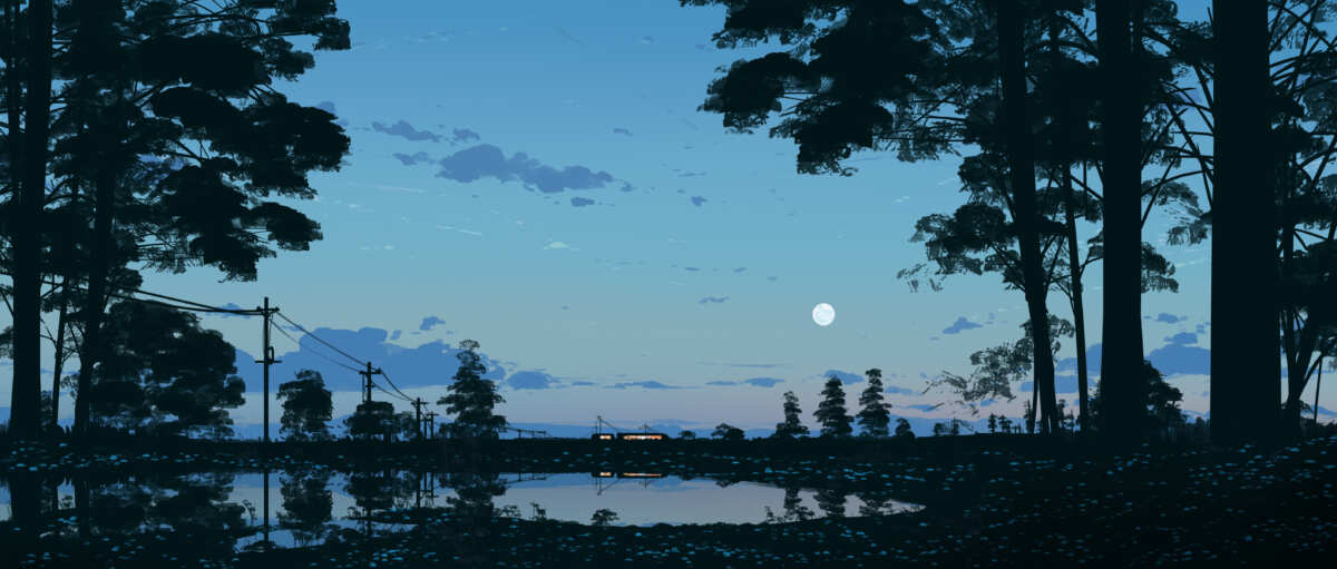 宁静森林夜色
