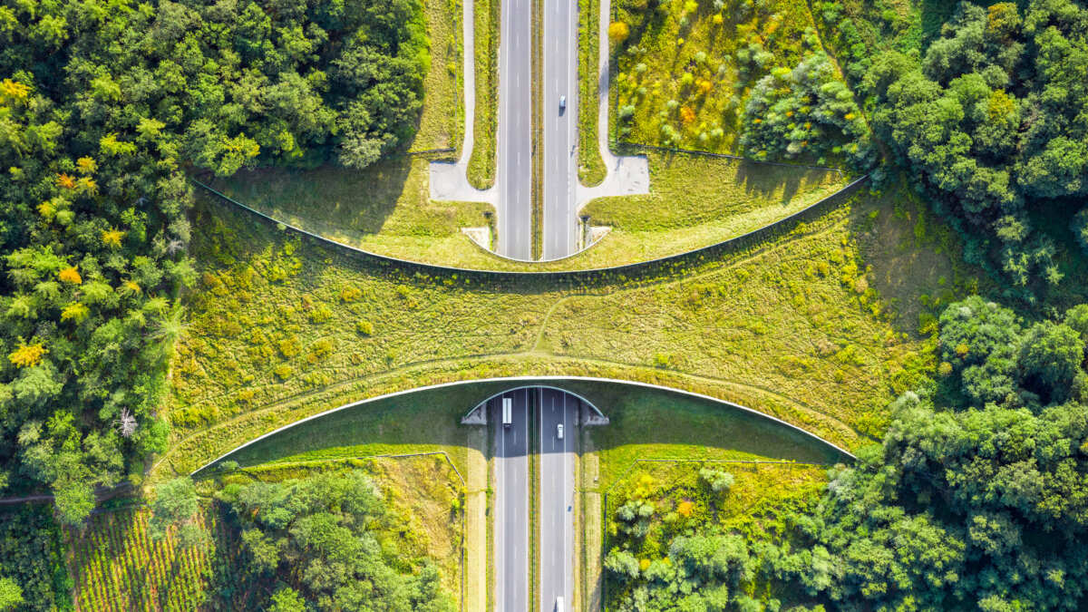 自然风光公路壁纸