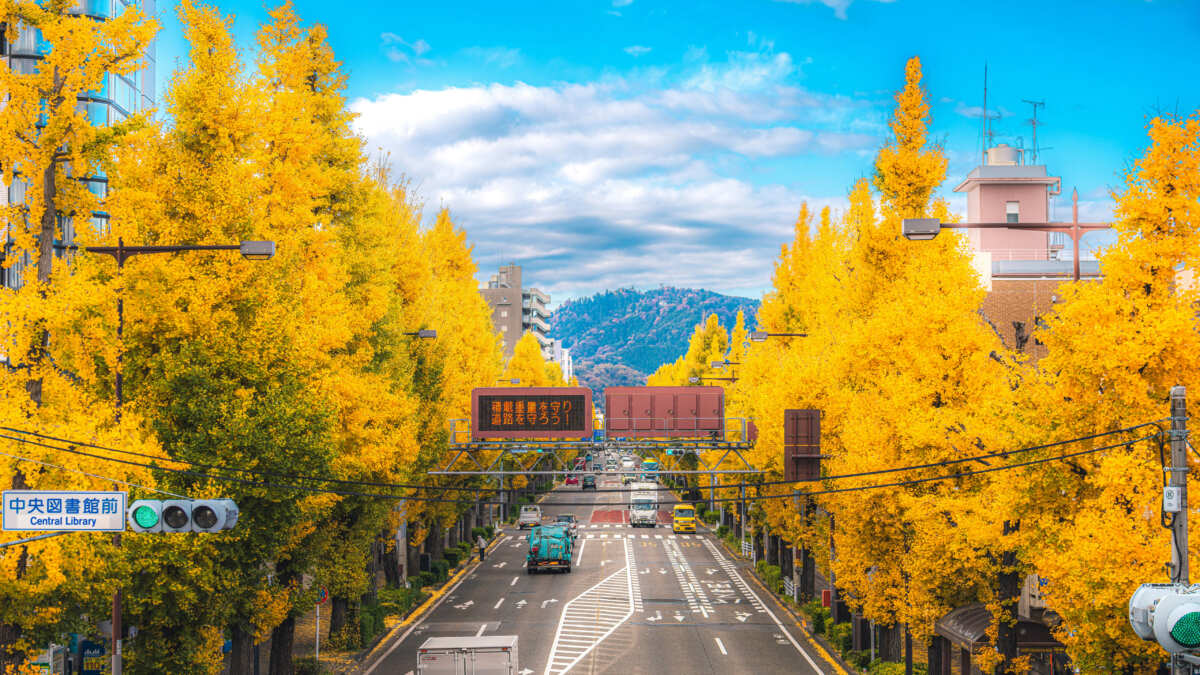 秋日东京街道