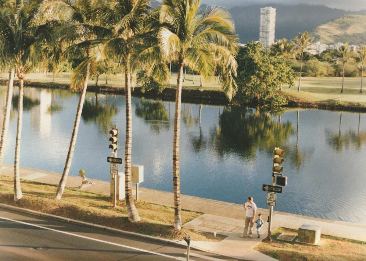 椰林水岸风景壁纸