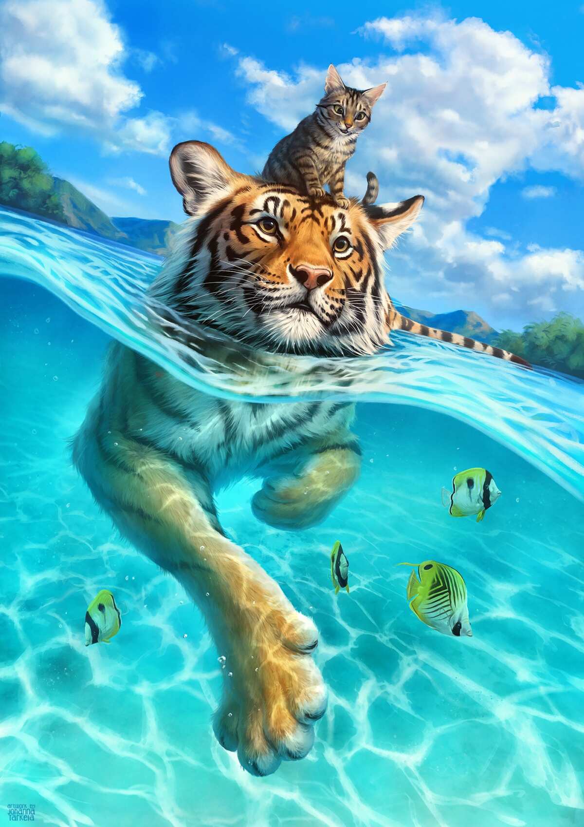 虎与猫的海底冒险