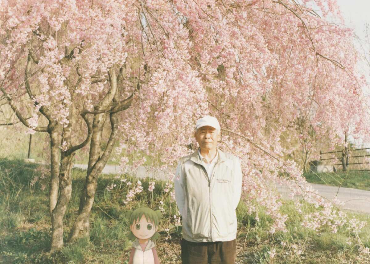 樱花下的温馨时光