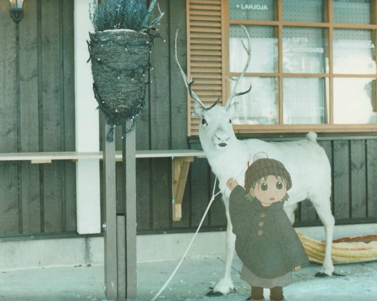 治愈系冬日小鹿