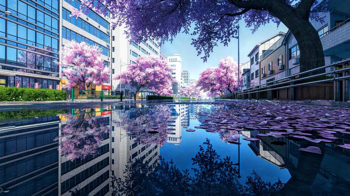 樱花大道