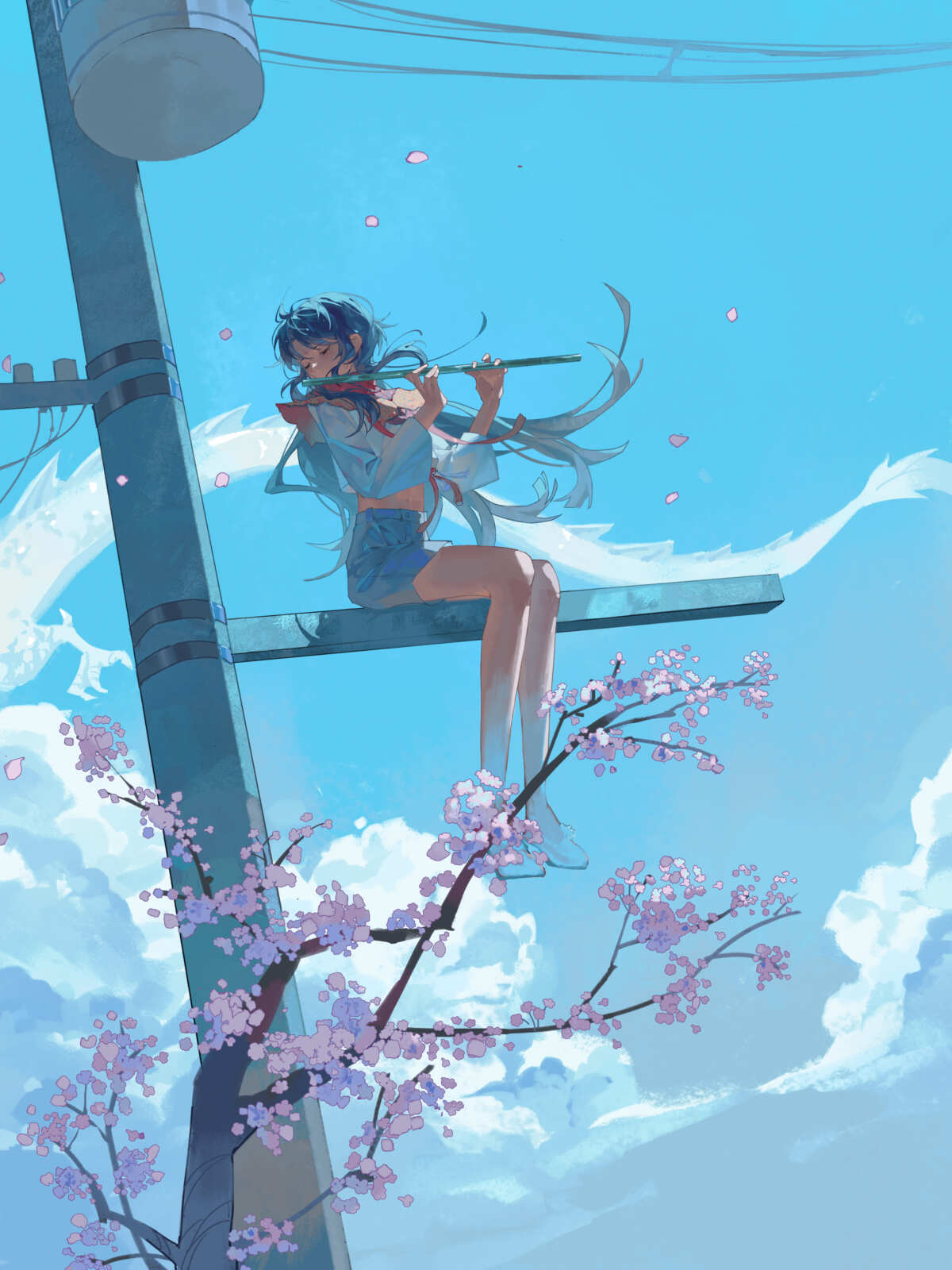 樱花下的音乐