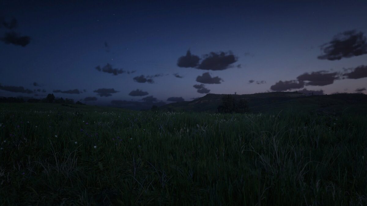夜空下的宁静草地