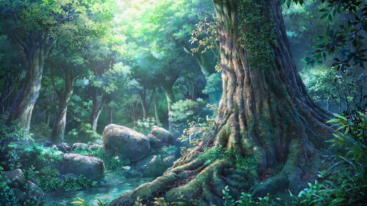 阳光森林