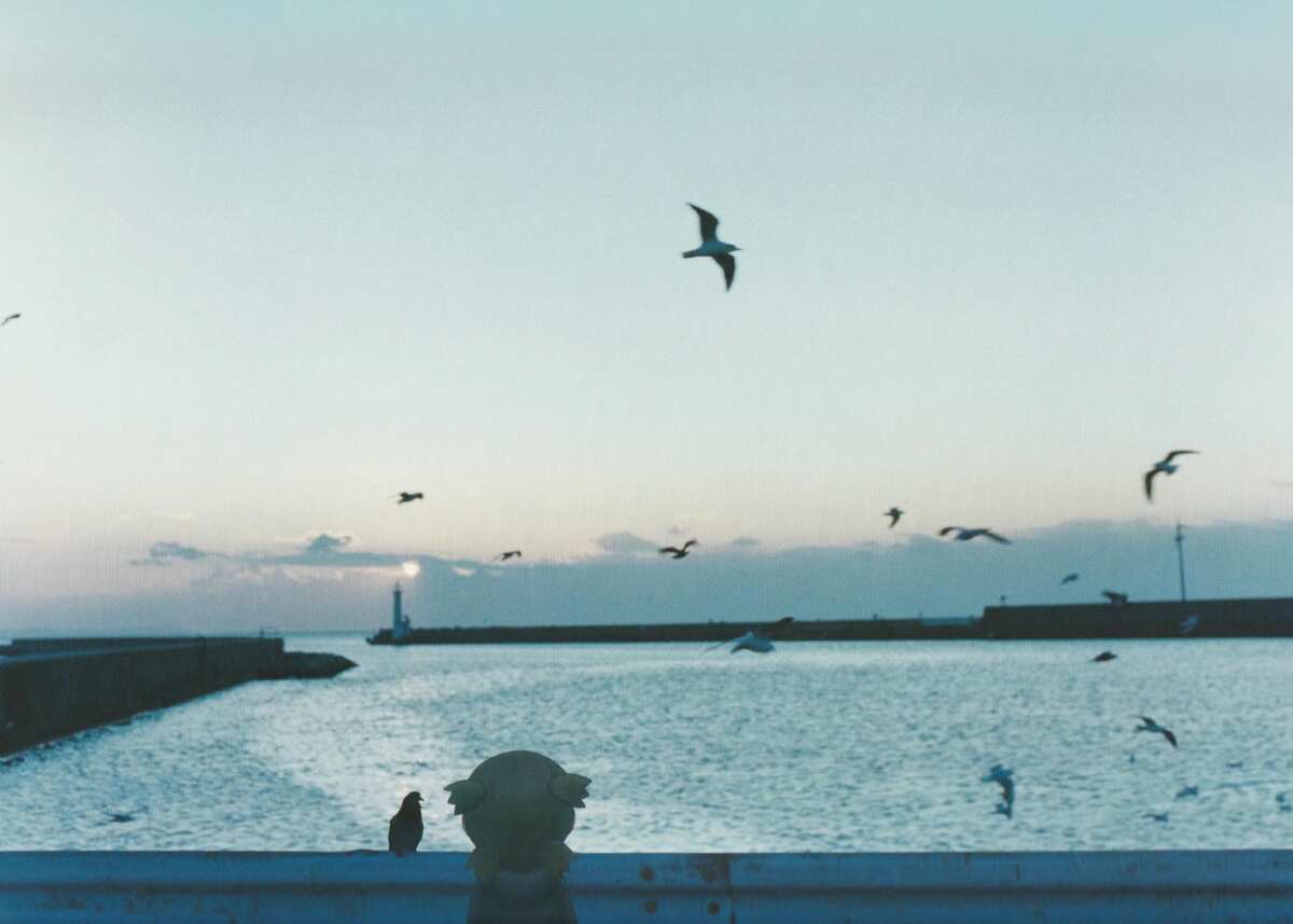 海港日落