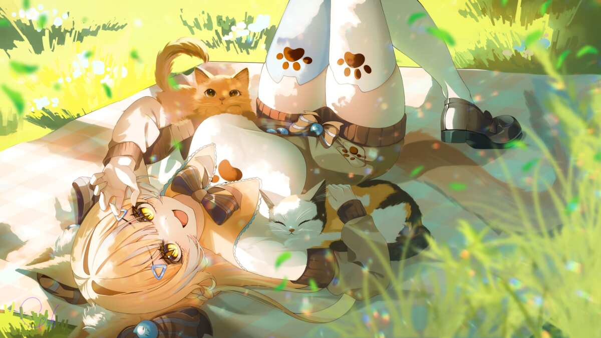 治愈系猫咪与少女