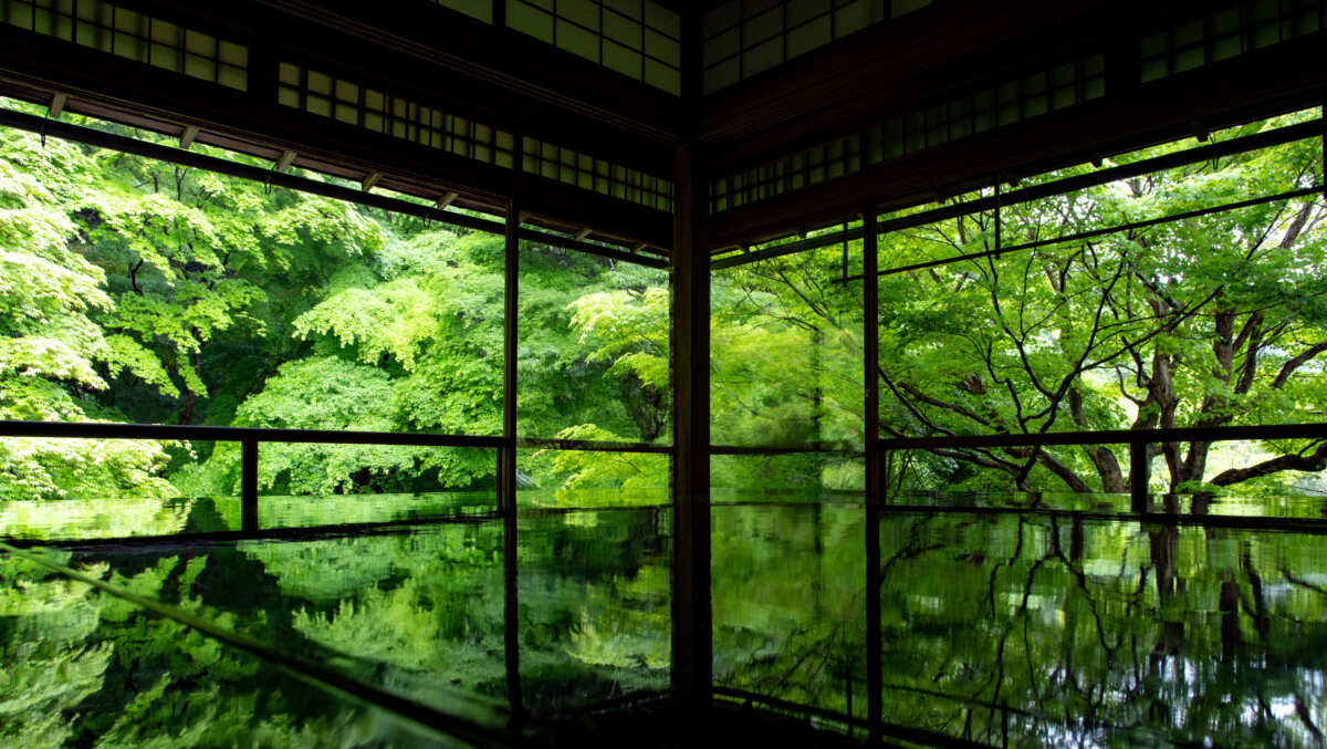 京都寺庙自然风光