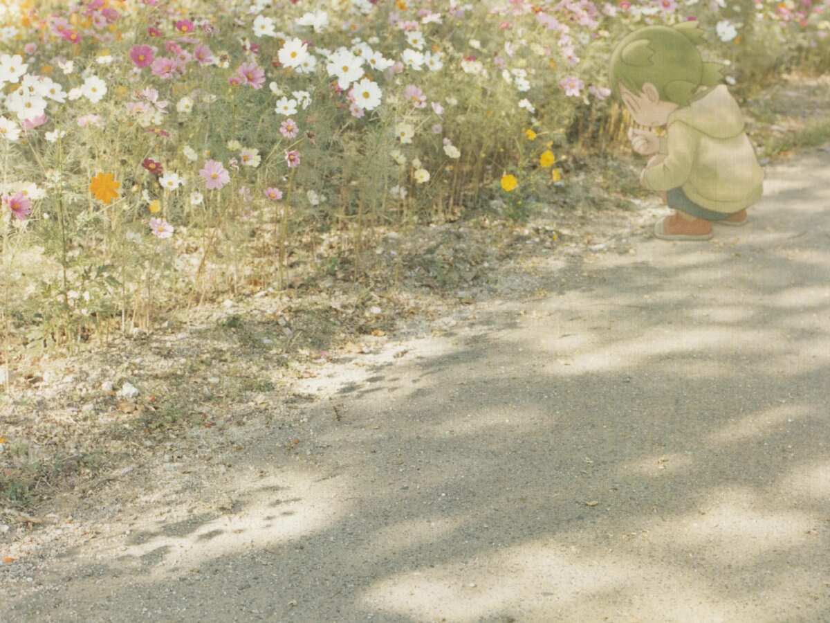 治愈系花朵小路