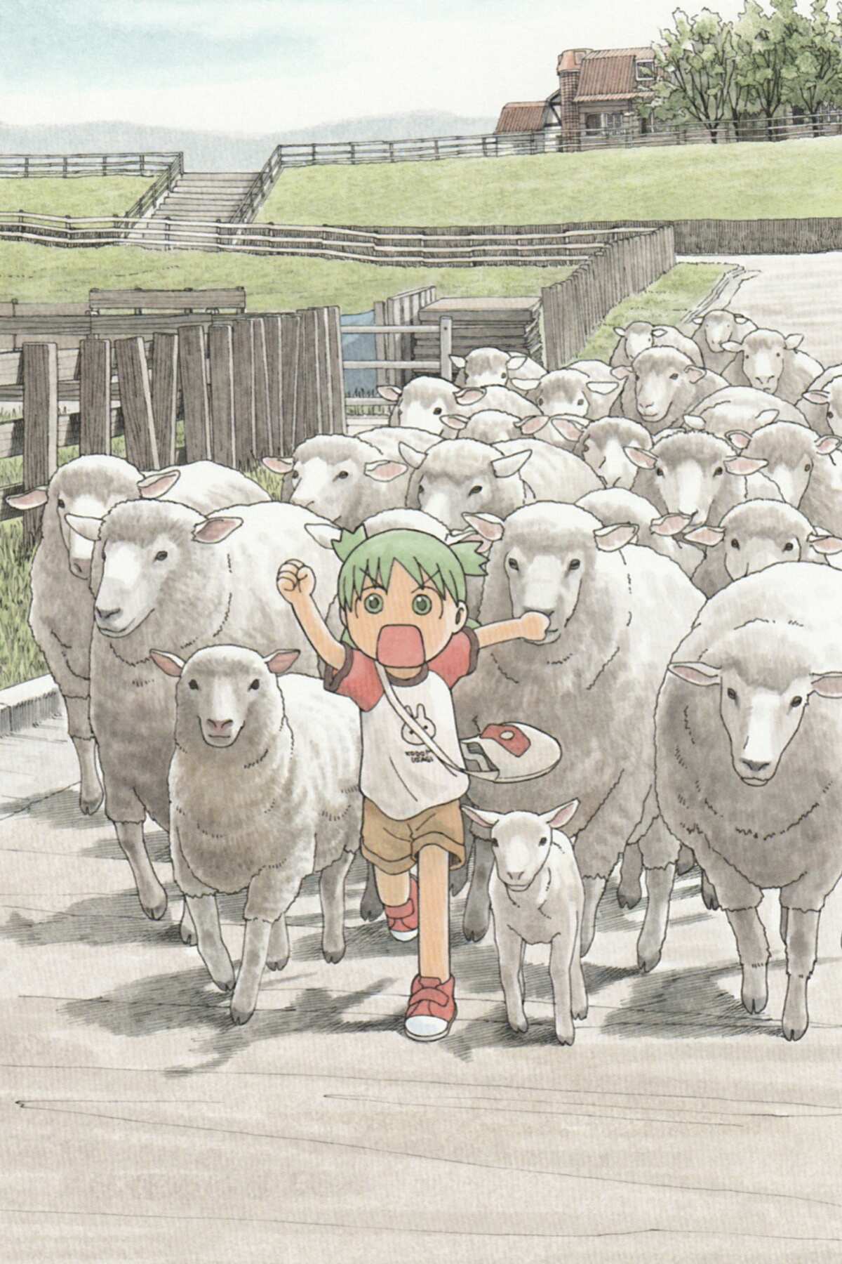 羊群与小女孩
