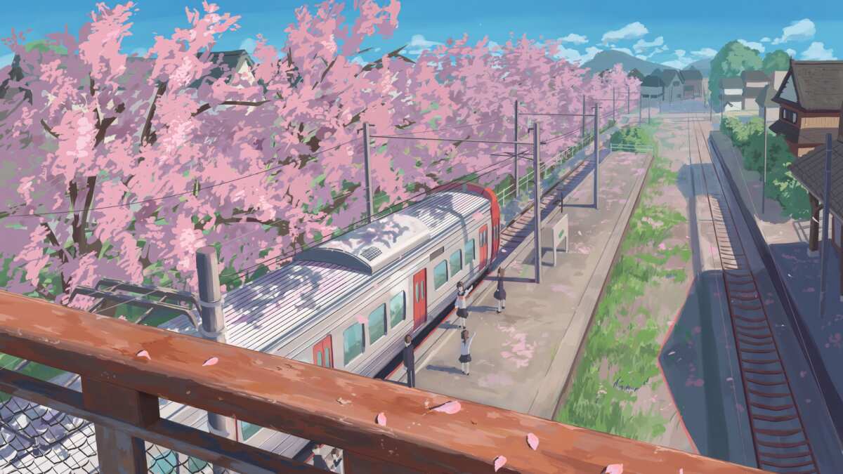 樱花列车