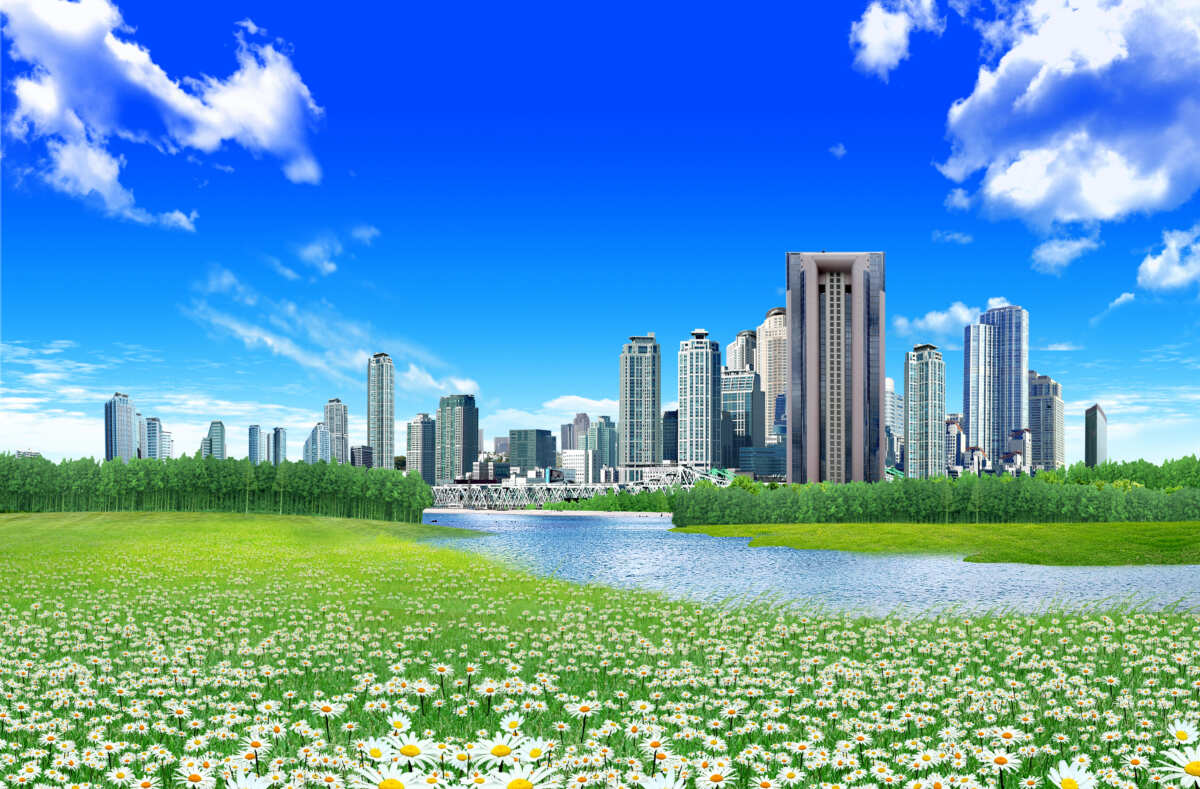 都市绿洲