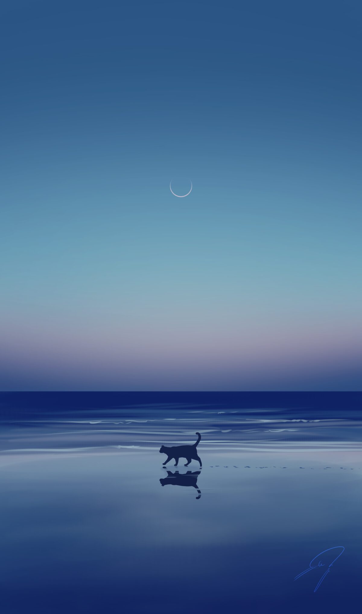 猫与海