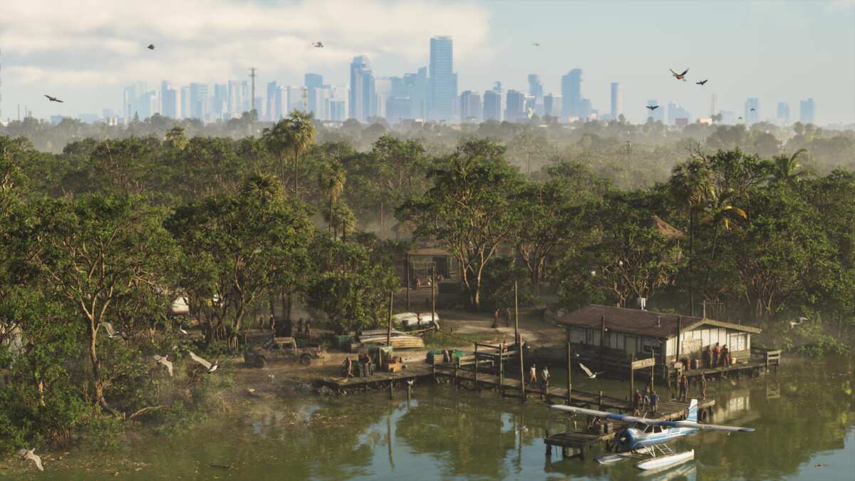 热带雨林与都市远景
